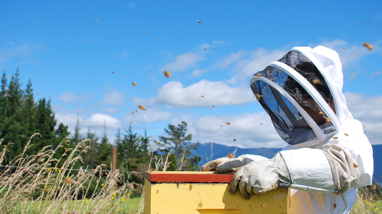 Beekeeper and bees; image used for HSBC New Zealand Interest Rate page