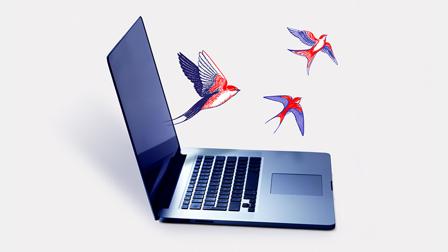 laptop and birds; images used for HSBC NZ Multi-Currency Account page